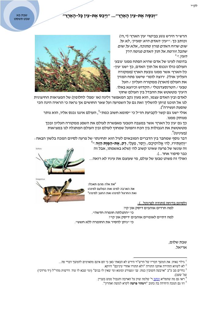 העמוד הראשון של פרשת בא
